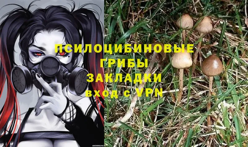 Псилоцибиновые грибы Magic Shrooms  наркошоп  Уржум 