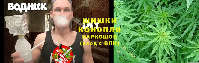 как найти   Уржум  Каннабис SATIVA & INDICA 